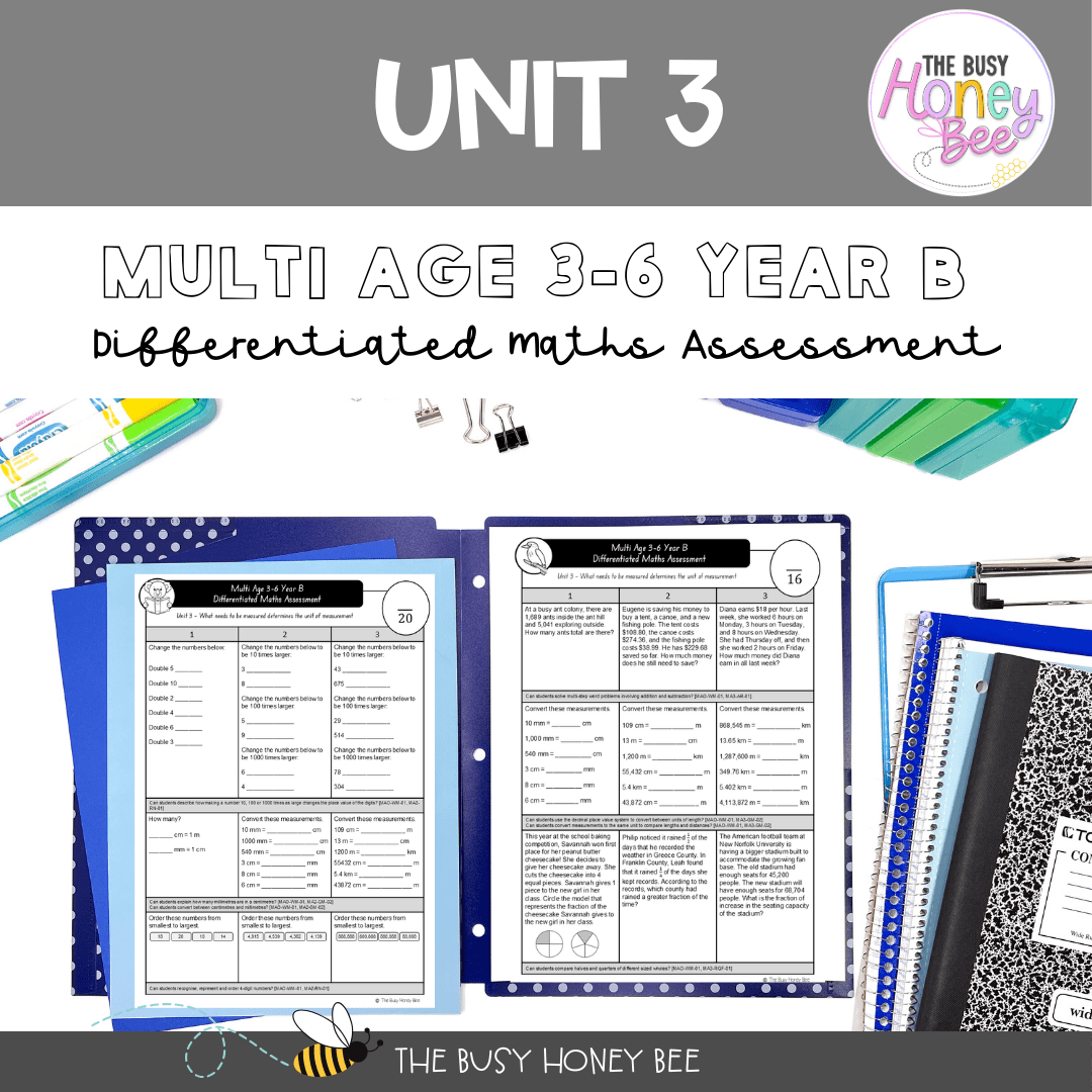 Multi Age 3-6 Year B Differentiated NSW Maths Assessment Unit 3 - Microsoft Word Document