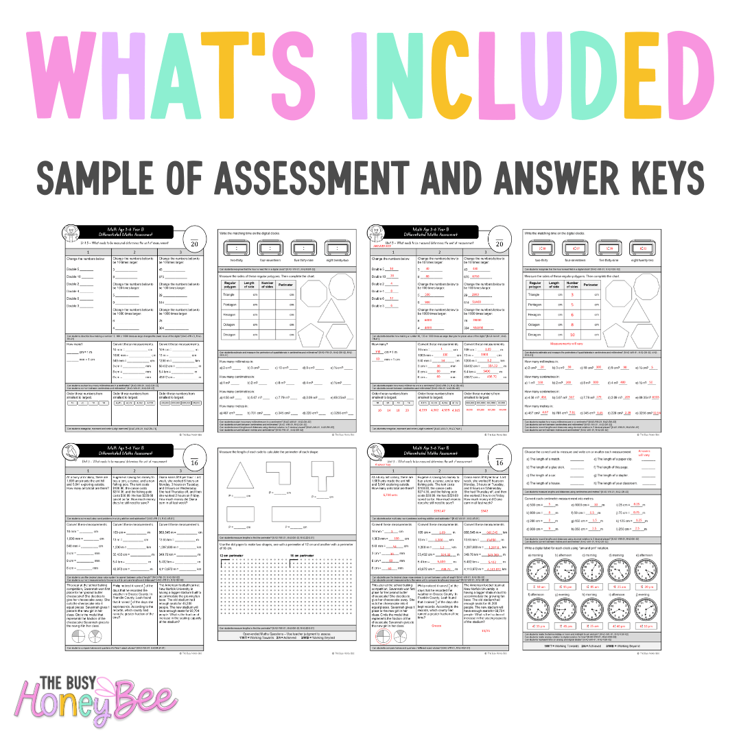 Multi Age 3-6 Year B Differentiated NSW Maths Assessment Unit 3 - Microsoft Word Document