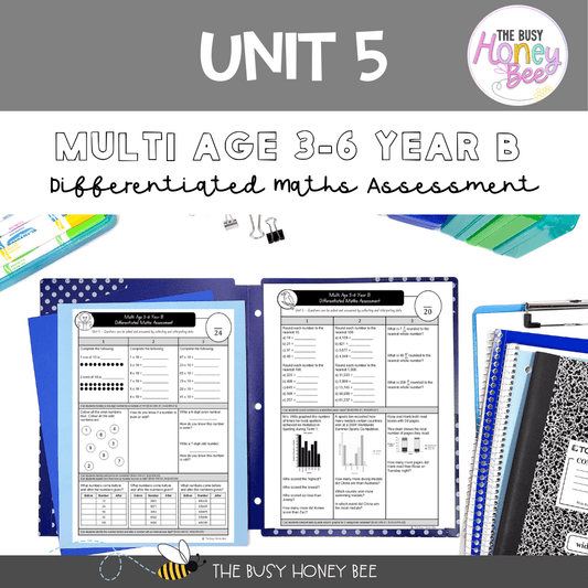 Multi Age 3-6 Year B Differentiated NSW Maths Assessment Unit 5 - Microsoft Word Document