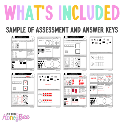 Multi Age K-2 Year B Differentiated NSW Maths Assessment Term 1 Mega Bundle - Assessment