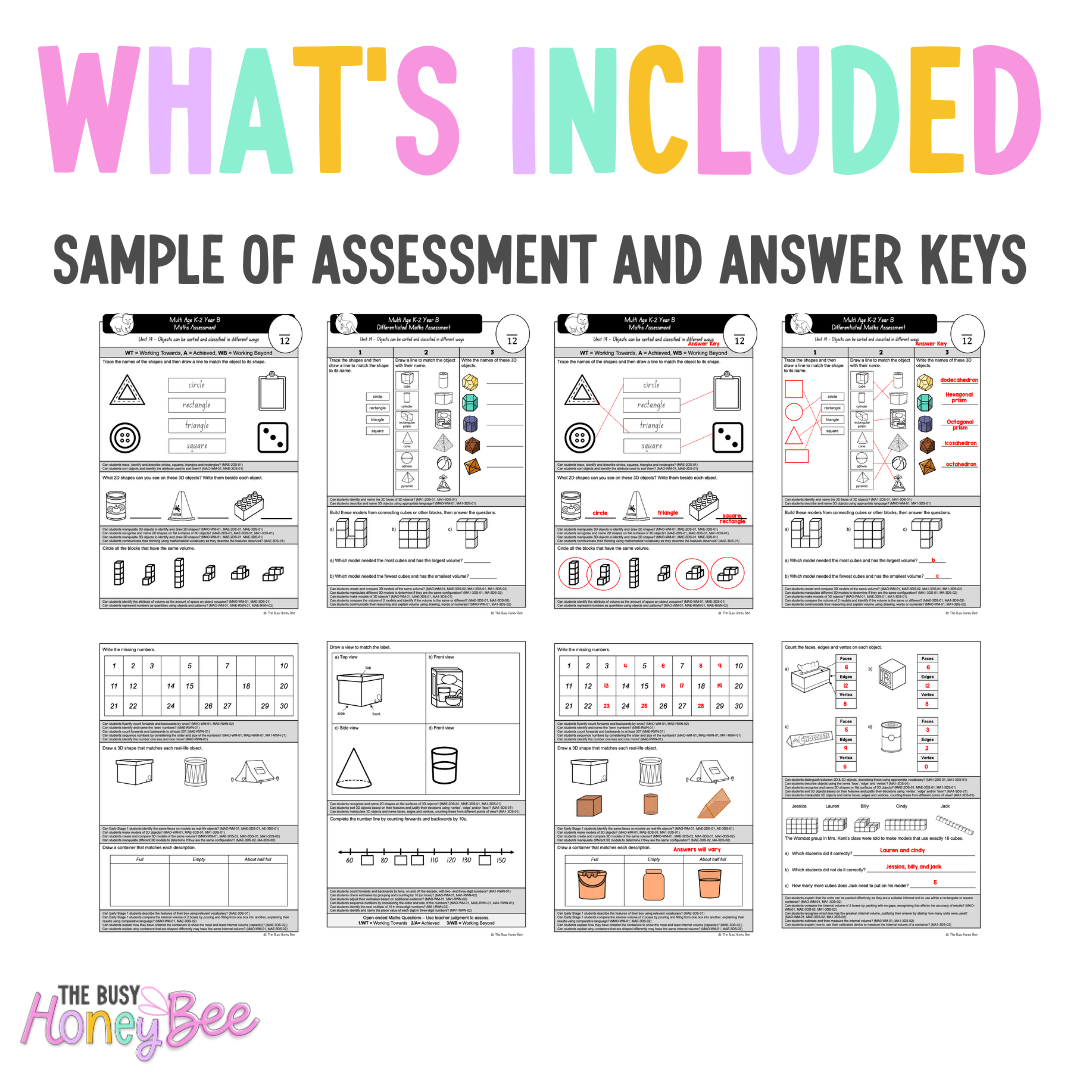 Multi Age K-2 Year B Differentiated NSW Maths Assessment Unit 19 - Assessment