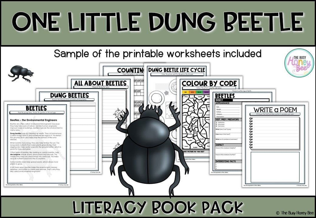 One Little Dung Beetle by Rhian Williams - CBCA 2025 - Literacy Book Pack - Activity Pack