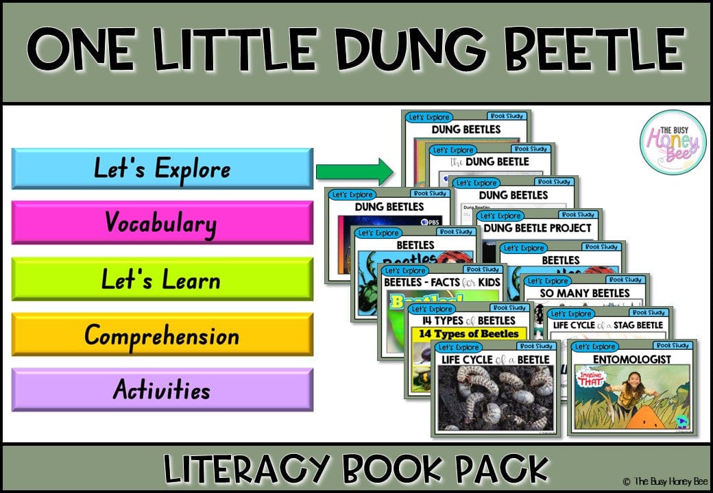 One Little Dung Beetle by Rhian Williams - CBCA 2025 - Literacy Book Pack - Activity Pack