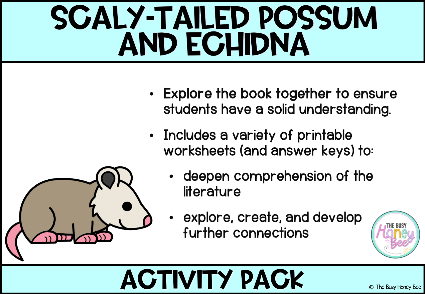 Scaly-tailed Possum and Echidna by Cathy Goonack Activity Pack -