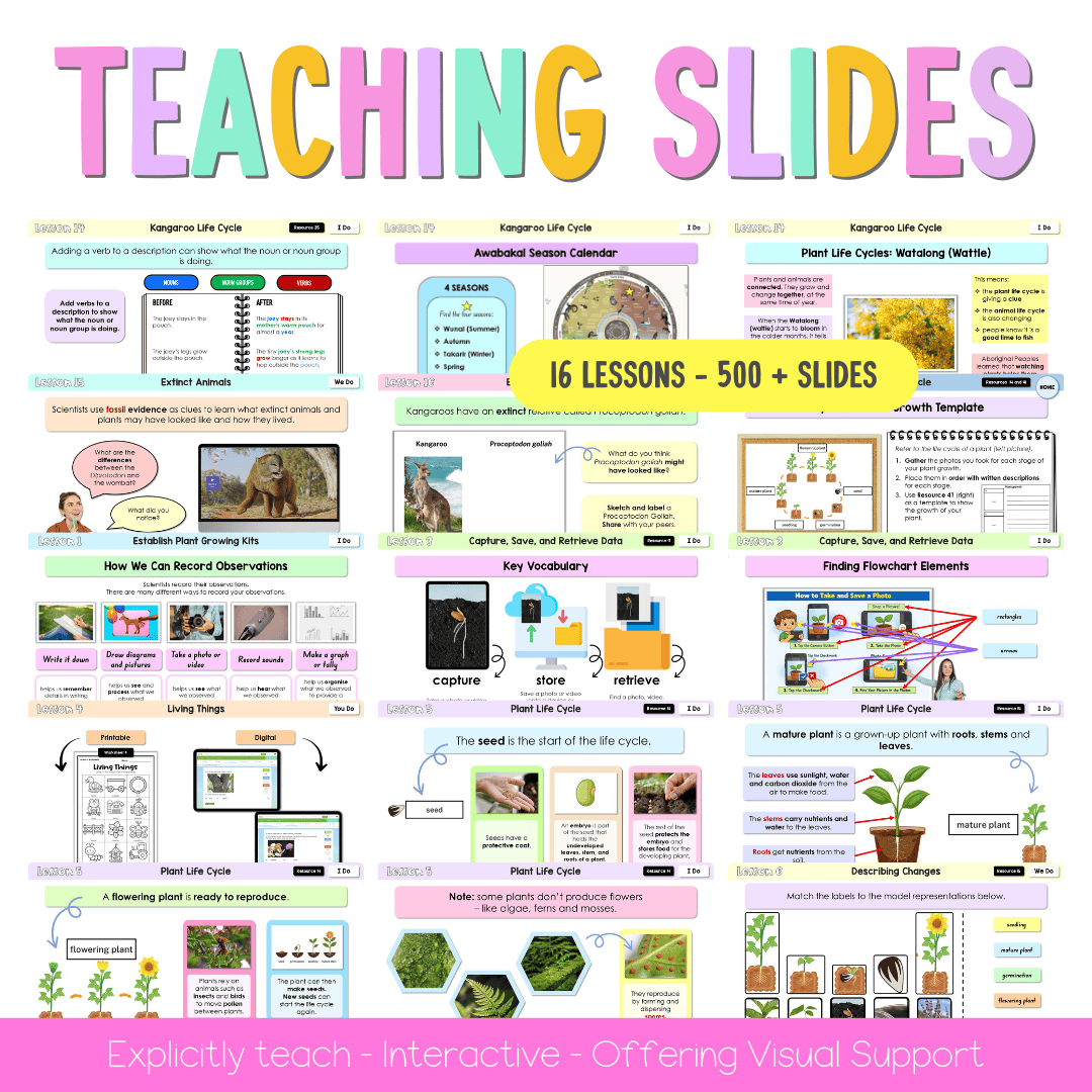 Stage 1 NSW Science Sample Unit 1 Teaching Pack - Teaching Bundle