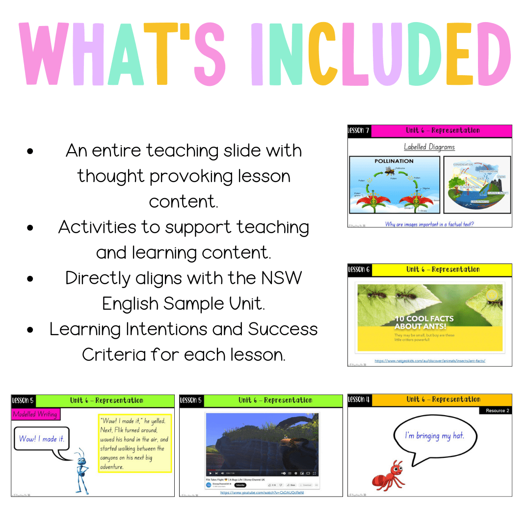 Stage 1 Year A Unit 6 NSW Representation English Teaching Slides - Teaching Slides