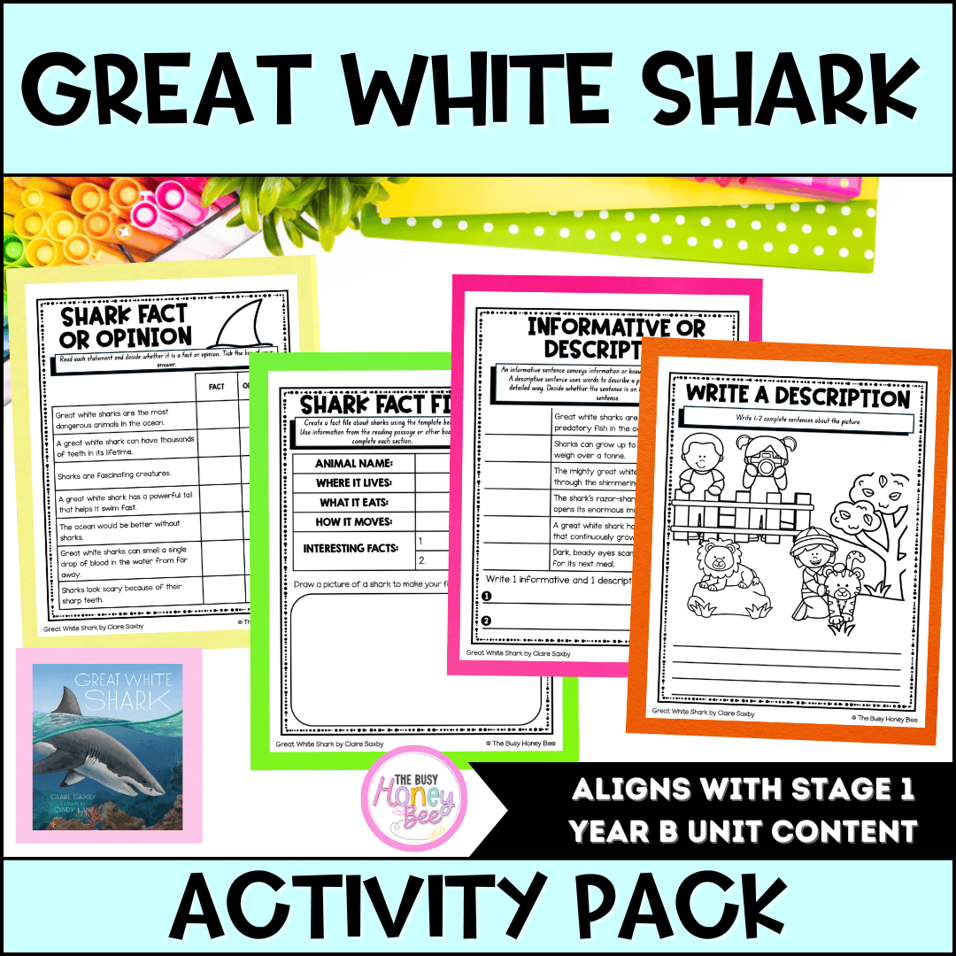 Stage 1 Year B NSW English Activity Pack ULTIMATE Mega Bundle 2026 - Activity Pack