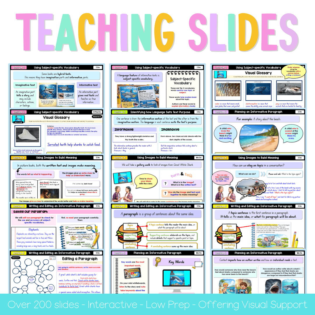 Stage 1 Year B NSW English Teaching Slides UNIT 24 Great White Shark 2026 -