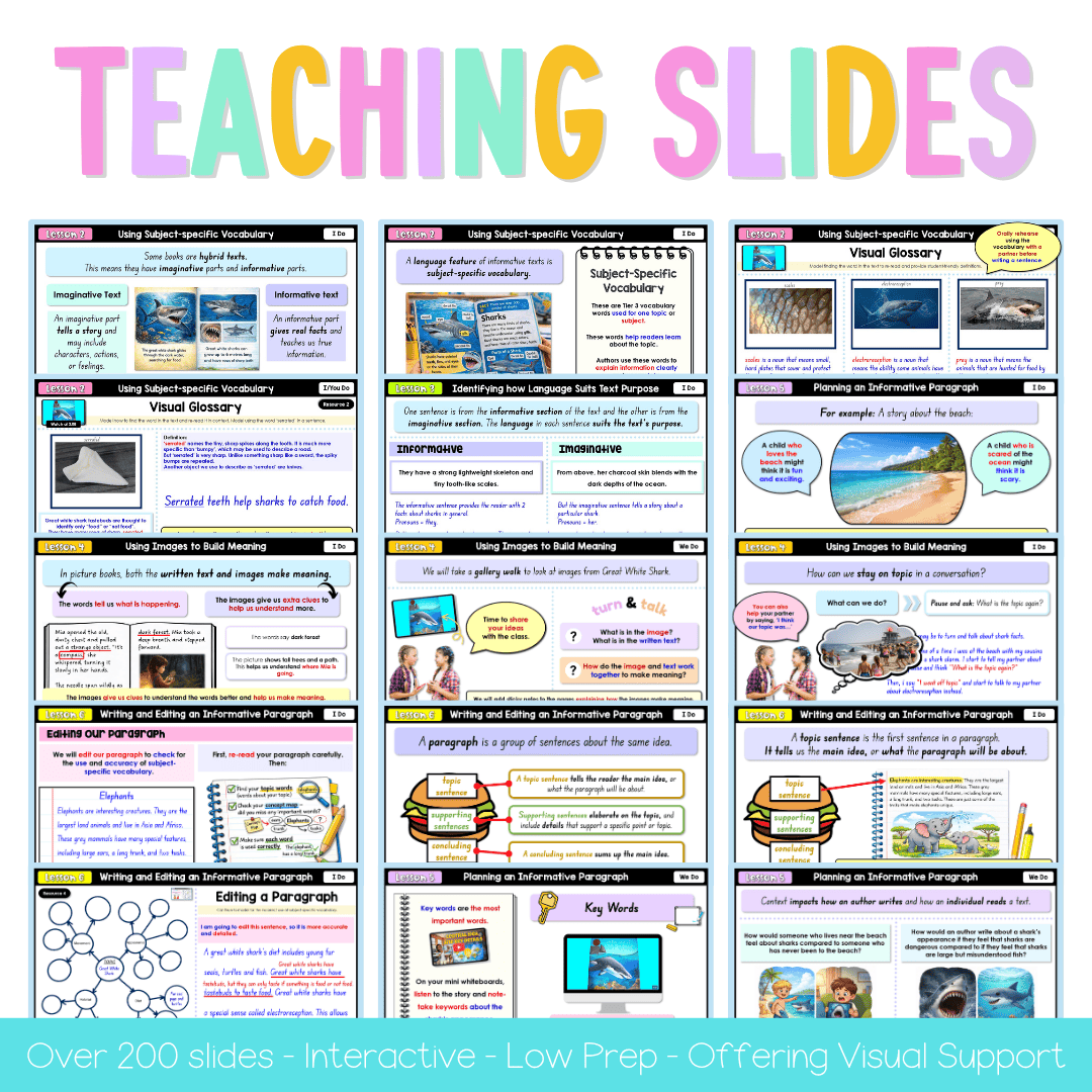 Stage 1 Year B NSW English Term 1 Teaching Slides Mega Bundle 2026 - Teaching Slides