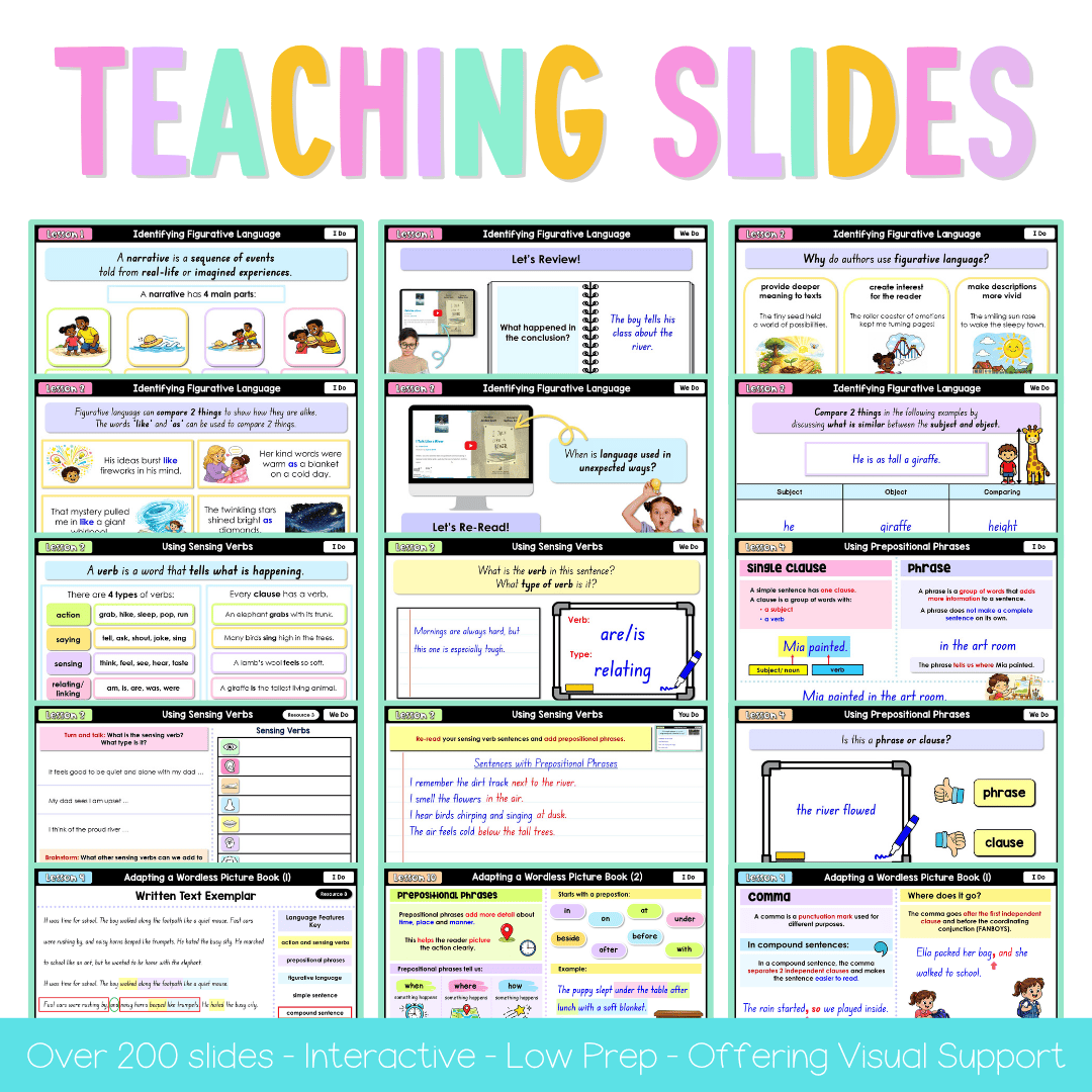 Stage 1 Year B NSW English Term 2 Teaching Slides Mega Bundle 2026 - Teaching Slides