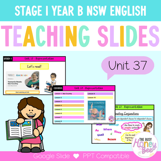 Stage 1 Year B Unit 37 NSW Representation English Teaching Slides - Teaching Slides