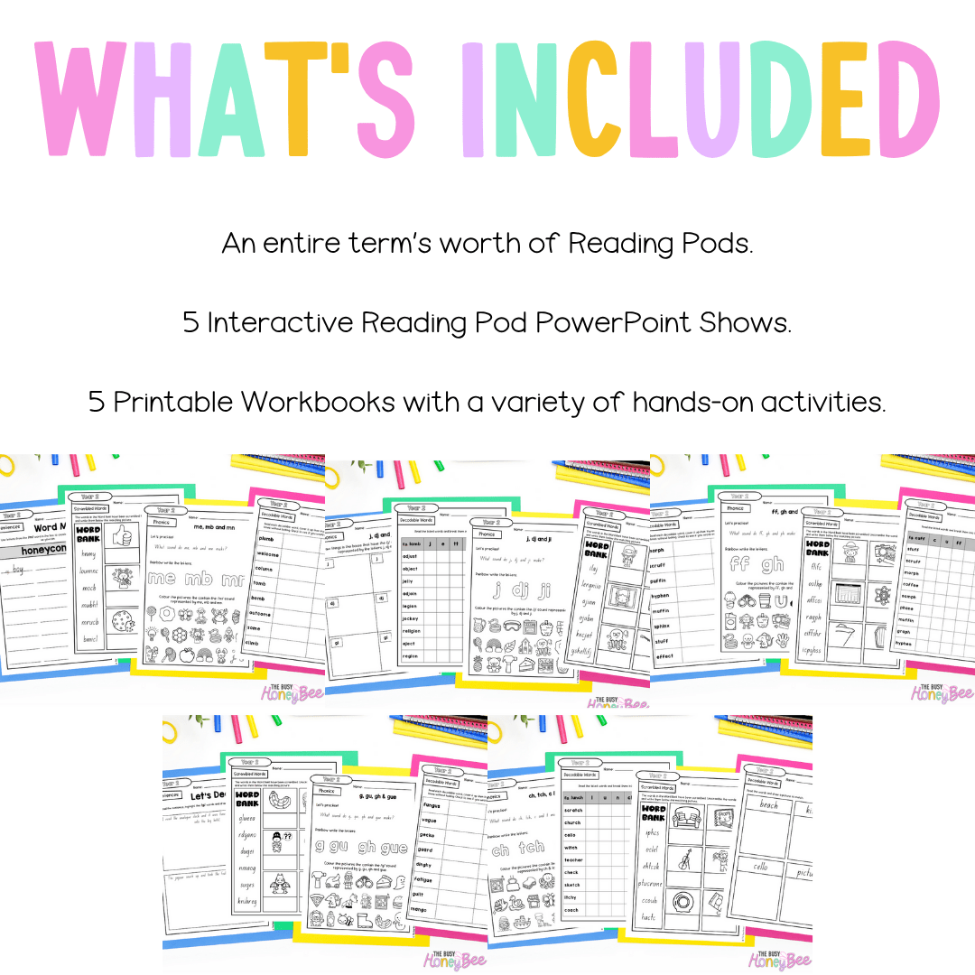 Stage 1 Year B - Year 2 Reading Pod Term 2 Mega Bundle - Teaching Bundle