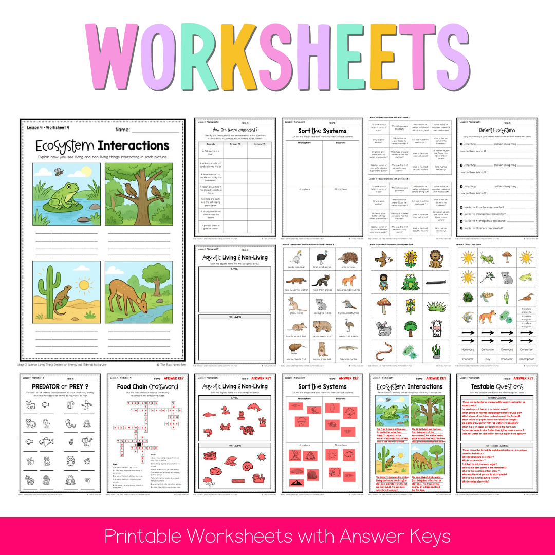 Stage 2 Australian NSW Science Unit 1 Living Things Depend on Energy and Materials to Survive Teaching Bundle - Teaching Bundle
