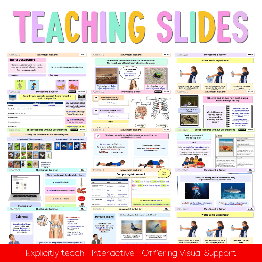 Stage 2 Year A NSW Science Sample Unit 4 Teaching Pack 2026 - Teaching Bundle