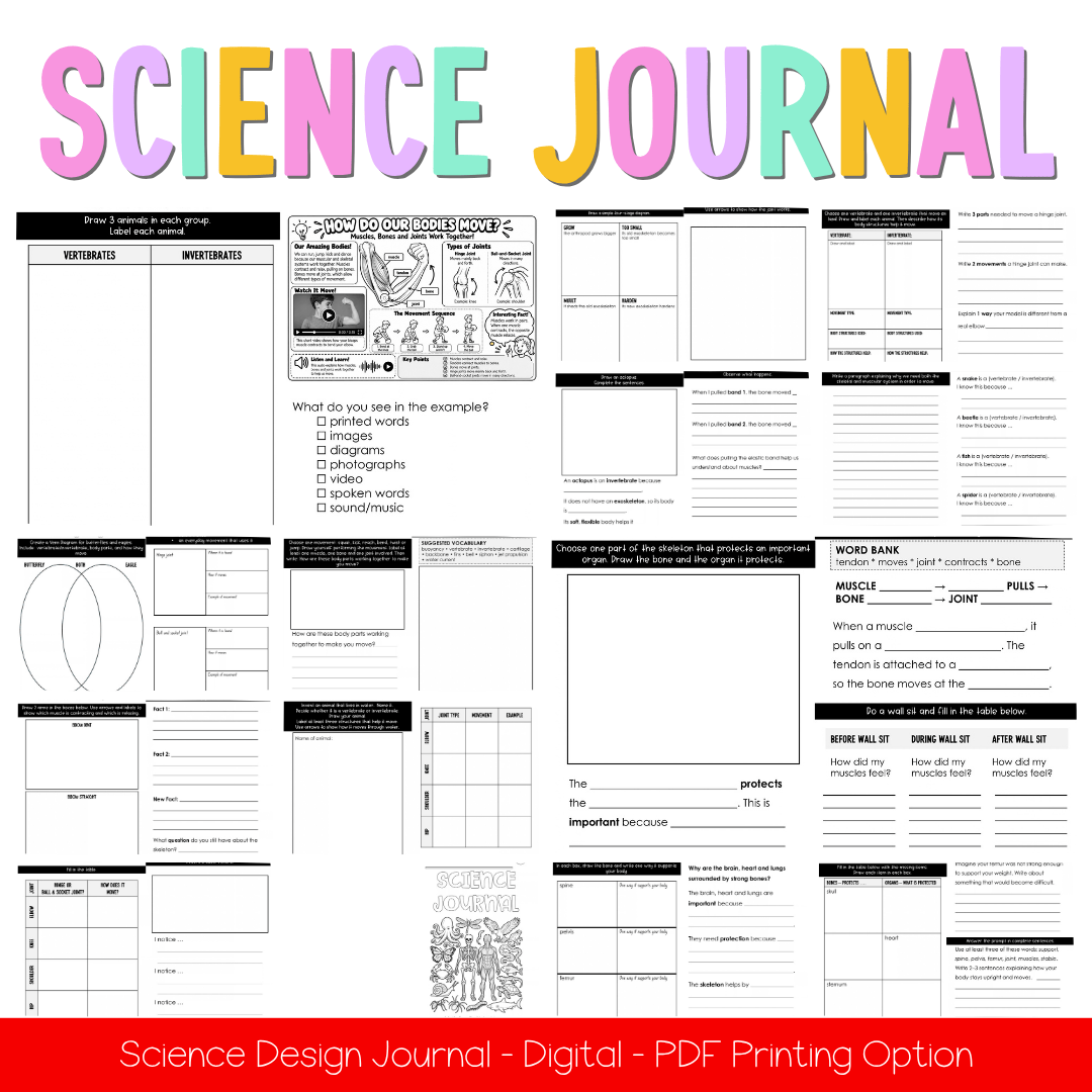 Stage 2 Year A NSW Science Sample Unit 4 Teaching Pack 2026 - Teaching Bundle