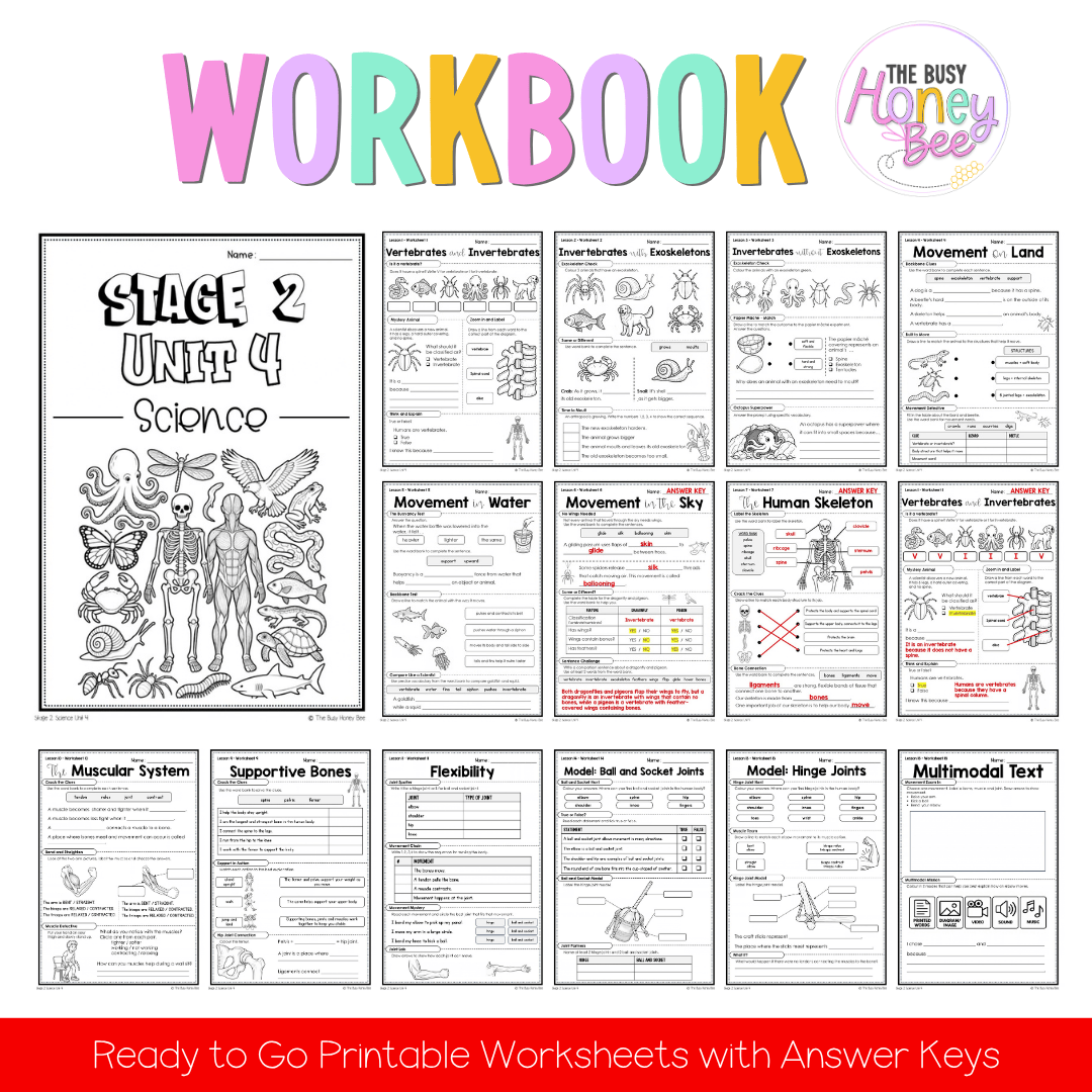 Stage 2 Year A NSW Science Sample Unit 4 Teaching Pack 2026 - Teaching Bundle