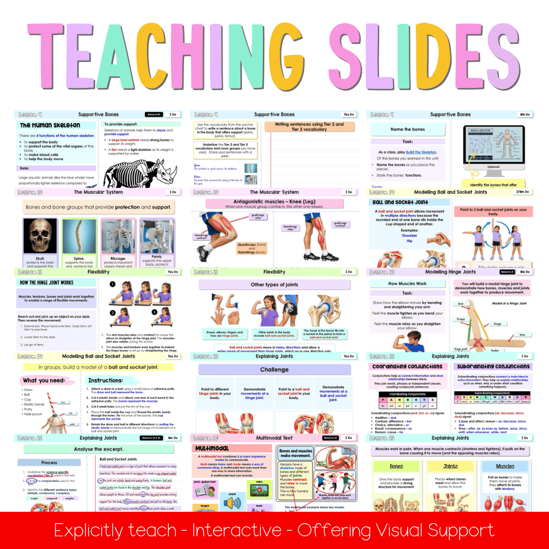 Stage 2 Year A NSW Science Sample Unit 4 Teaching Pack 2026 - Teaching Bundle