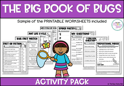 The Big Book of Bugs Activity Pack -
