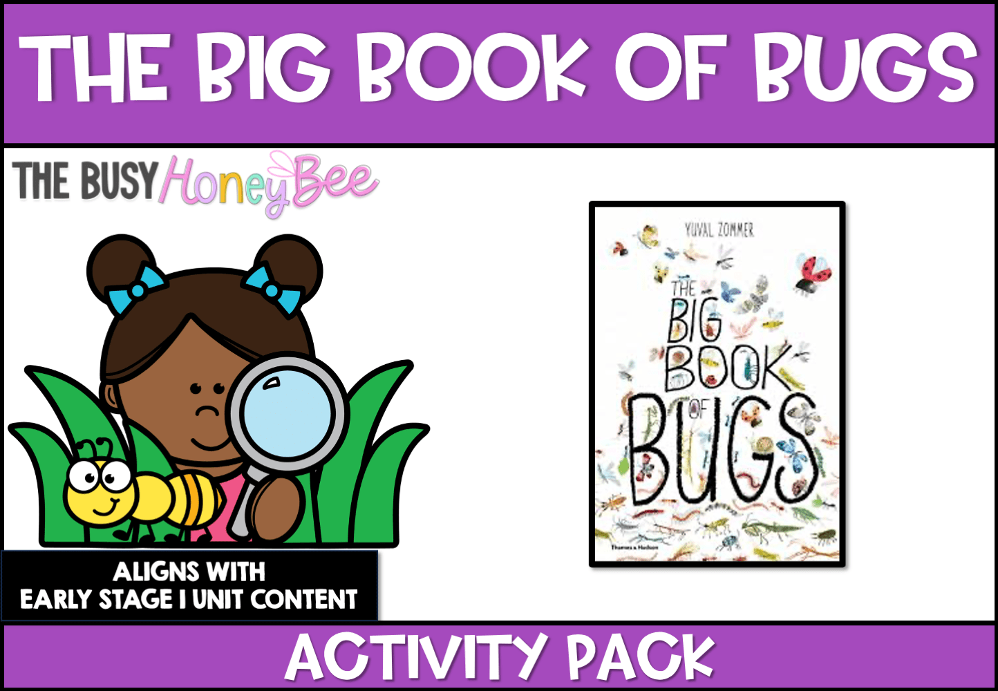 The Big Book of Bugs Activity Pack -