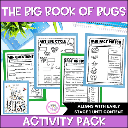 The Big Book of Bugs Activity Pack -
