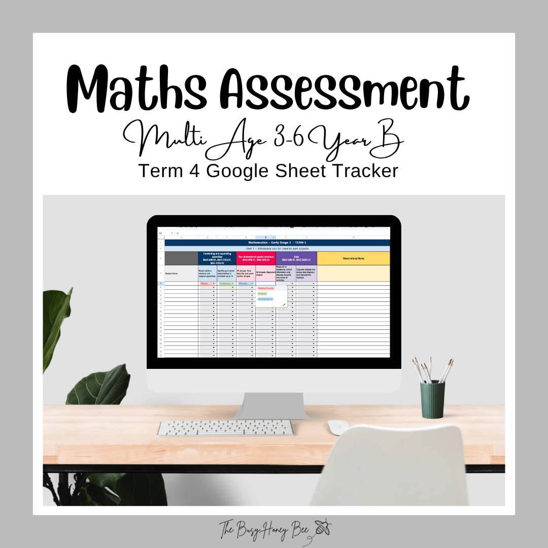 ULTIMATE NSW Multi Age 3-6 Year B Maths Assessment Bundle - Assessment