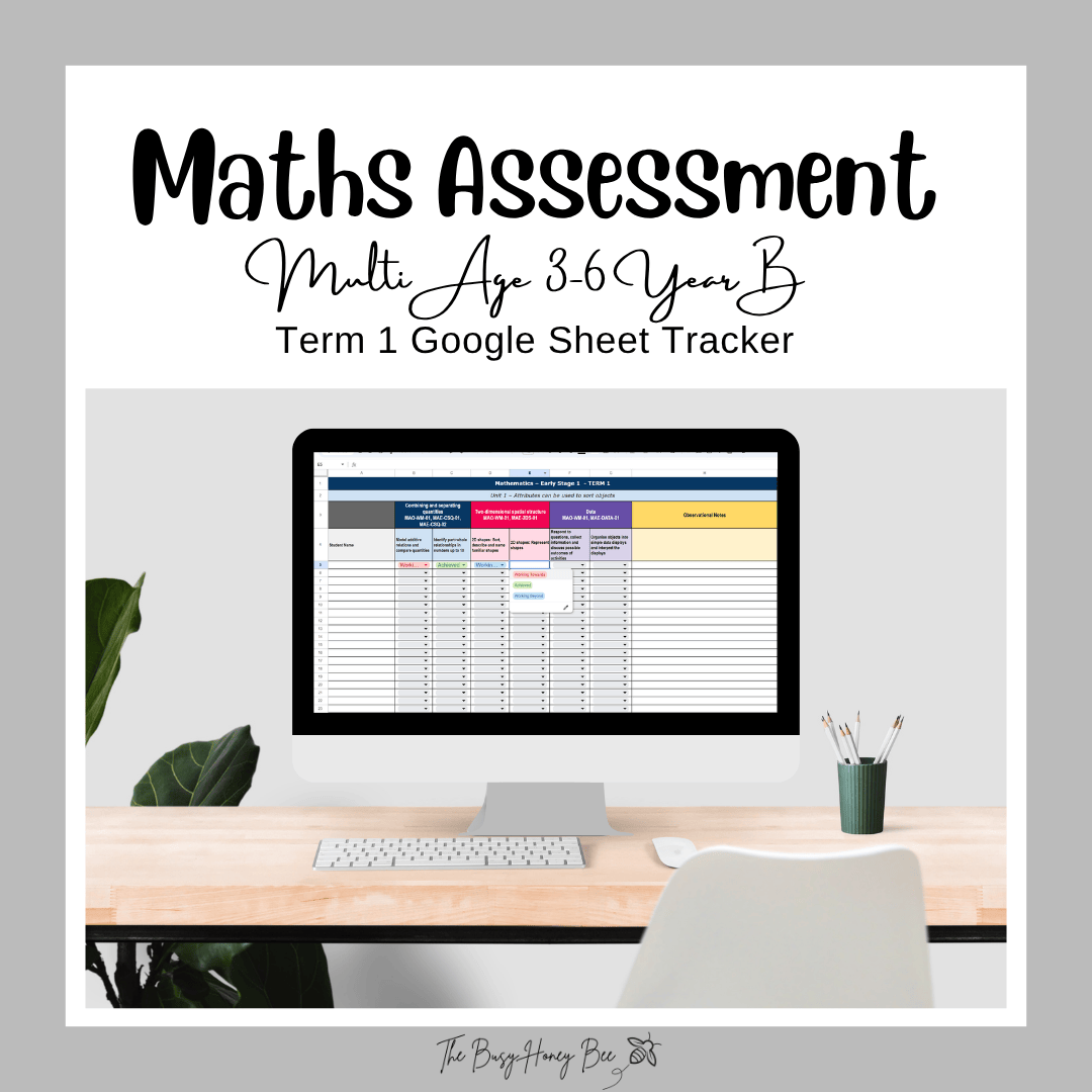 ULTIMATE NSW Multi Age 3-6 Year B Maths Assessment Bundle - Assessment