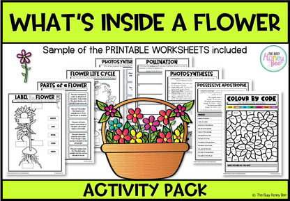 What's inside a Flower Activity Pack - Activity Pack