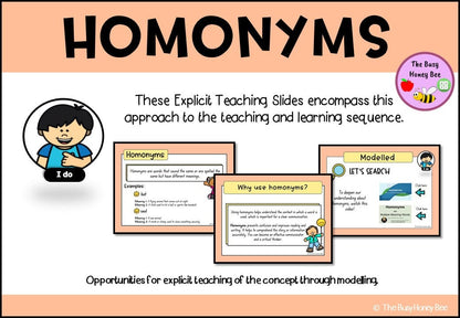 Year 3 and 4 Homonyms Explicit Teaching Bundle - Teaching Bundle