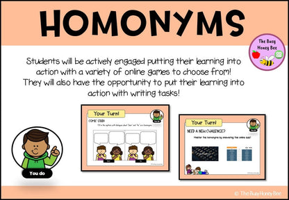 Year 3 and 4 Homonyms Explicit Teaching Bundle - Teaching Bundle
