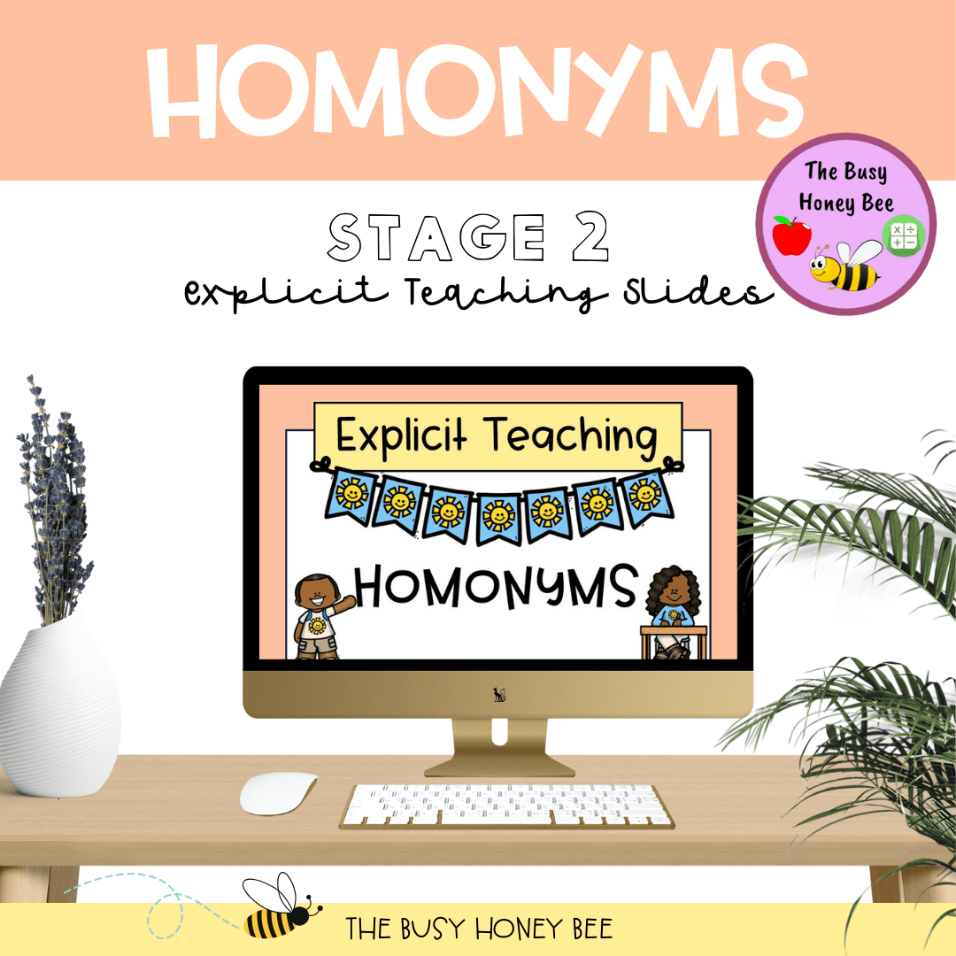 Year 3 and 4 Homonyms Explicit Teaching Bundle - Teaching Bundle