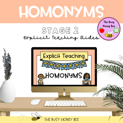 Year 3 and 4 Homonyms Explicit Teaching Bundle - Teaching Bundle
