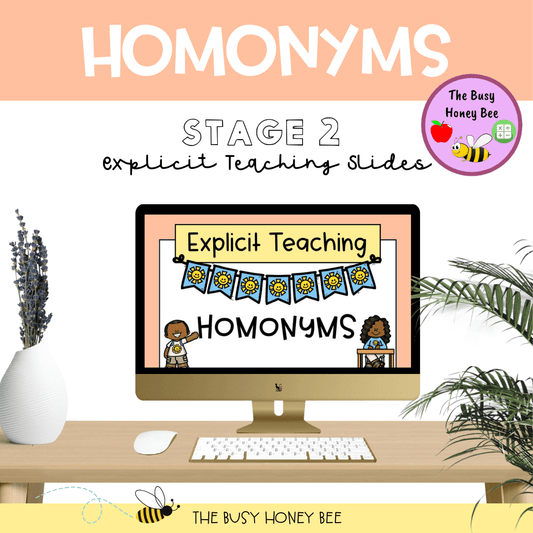 Year 3 and 4 Homonyms Explicit Teaching Bundle - Teaching Bundle